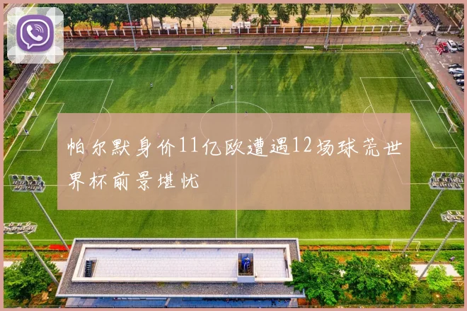 帕尔默身价11亿欧遭遇12场球荒世界杯前景堪忧